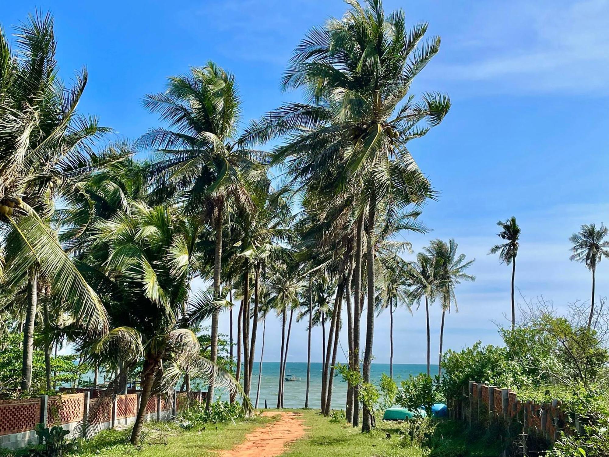 Moonbeam Homestay & Mini-Resort Mui Ne Phan Thiet Exteriör bild